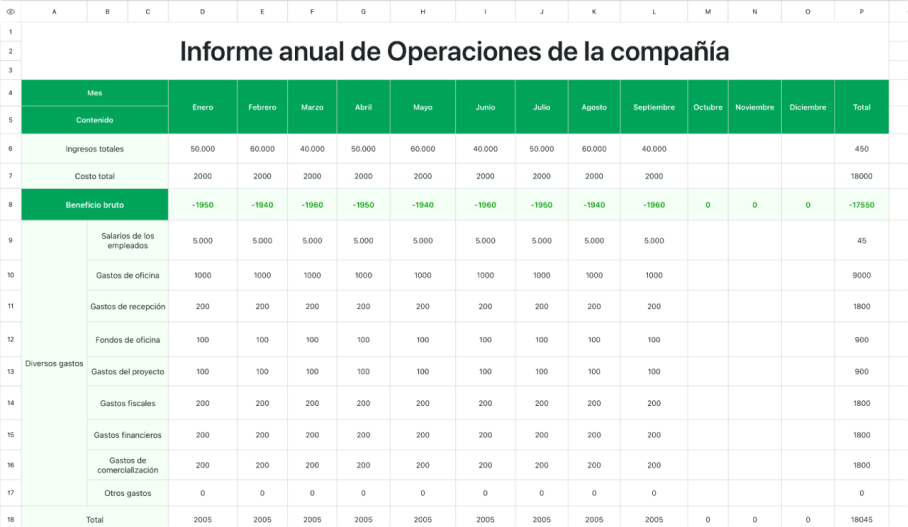 Estado anual de Operaciones de la compañía 1